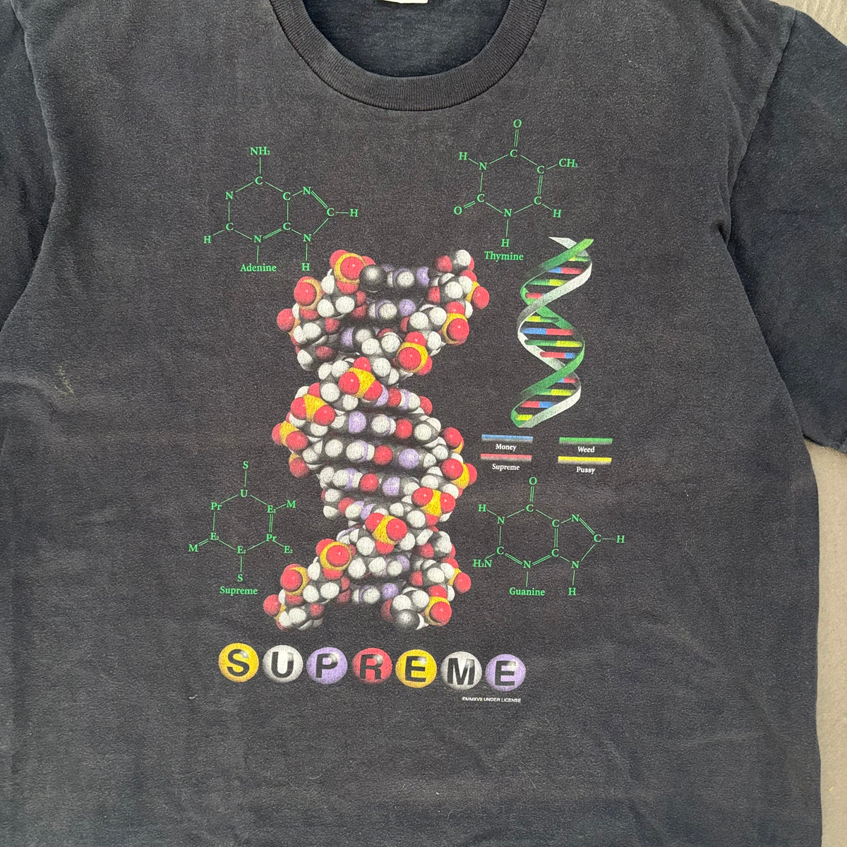 FW17 SUPREME DNA TEE WASHED [M]