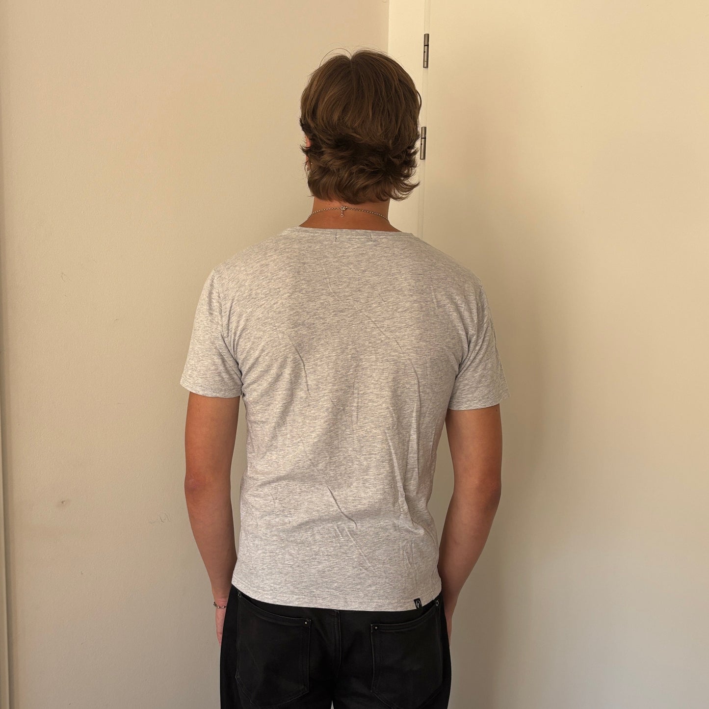 HYSTERIC GLAMOUR 25CENTS TEE GREY [M]