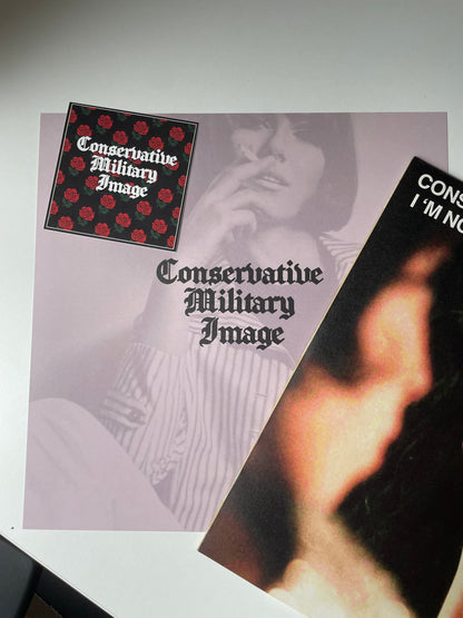 IMMAGINE MILITARE CONSERVATIVA NON SONO IL TUO SKINHEAD VINILE EDIZIONE AMY WINEHOUSE DA 12" [NUOVO]