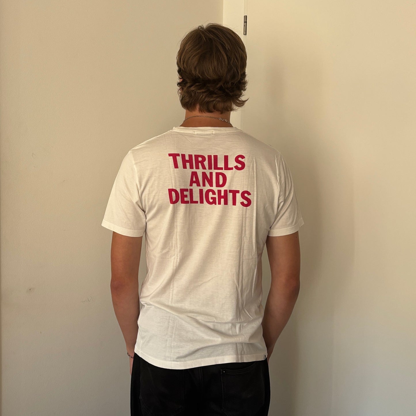 HYSTERIC GLAMOUR THRILLS AND DELIGHTS TEE [M]