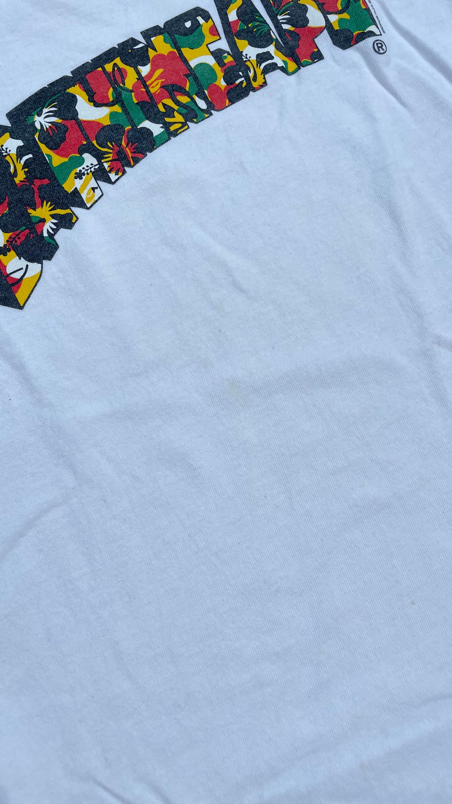 BAPE TROPICAL SPELLOUT TEE WHITE [S]